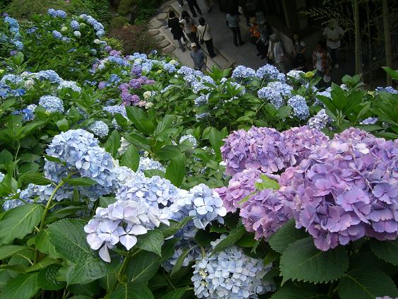 c0015589_1722753.jpg