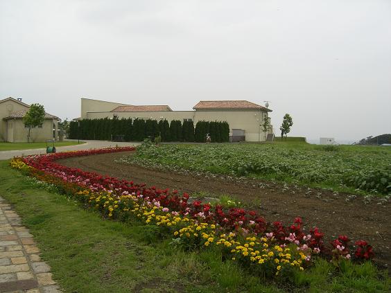 c0015589_173557.jpg