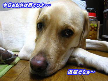 c0028792_23334161.jpg
