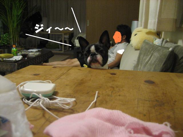 b0136300_013421.jpg