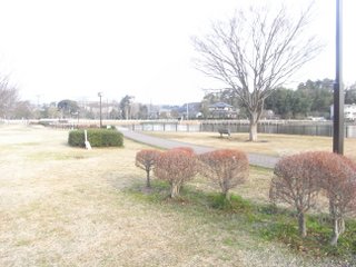 c0156703_20194833.jpg