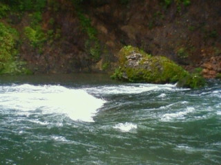 f0164003_2251658.jpg