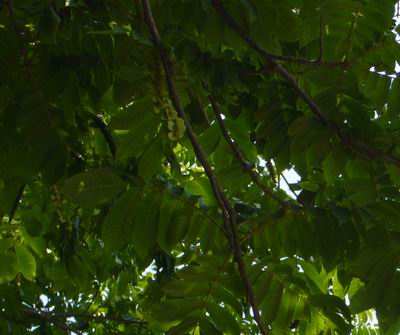b0035611_21491826.jpg