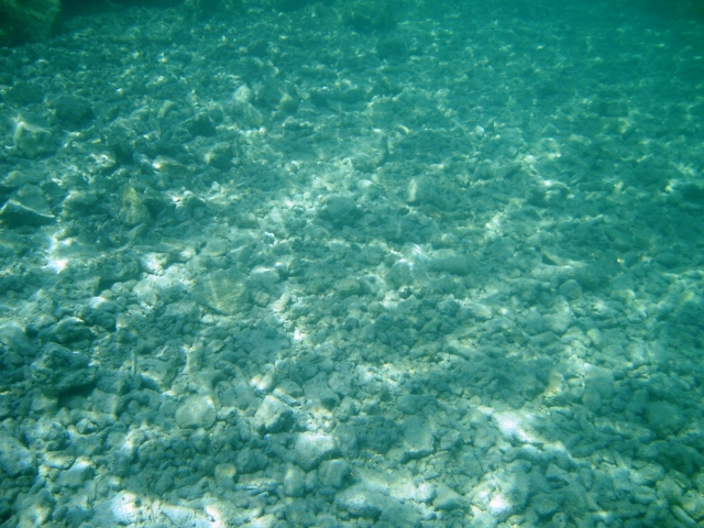 a0000014_1353648.jpg