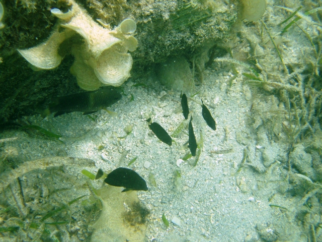 a0000014_1361537.jpg