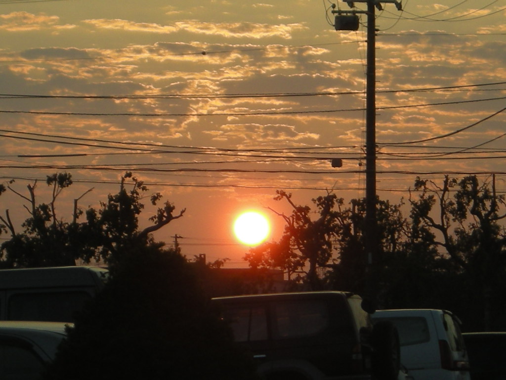 e0113915_6371014.jpg