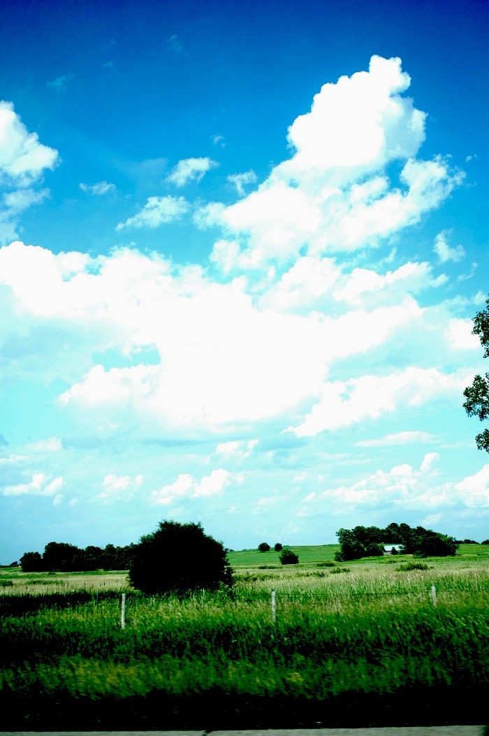c0106317_8485032.jpg