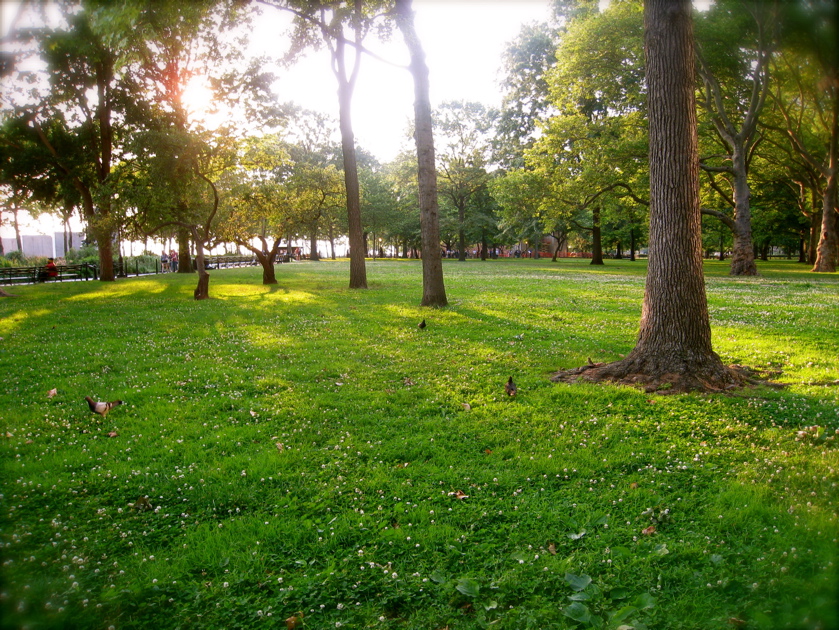 c0120817_4255917.jpg