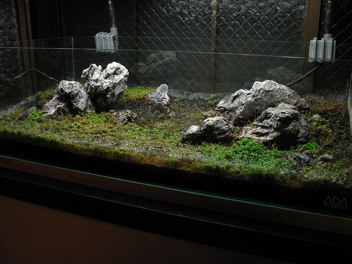 c0119618_8285378.jpg
