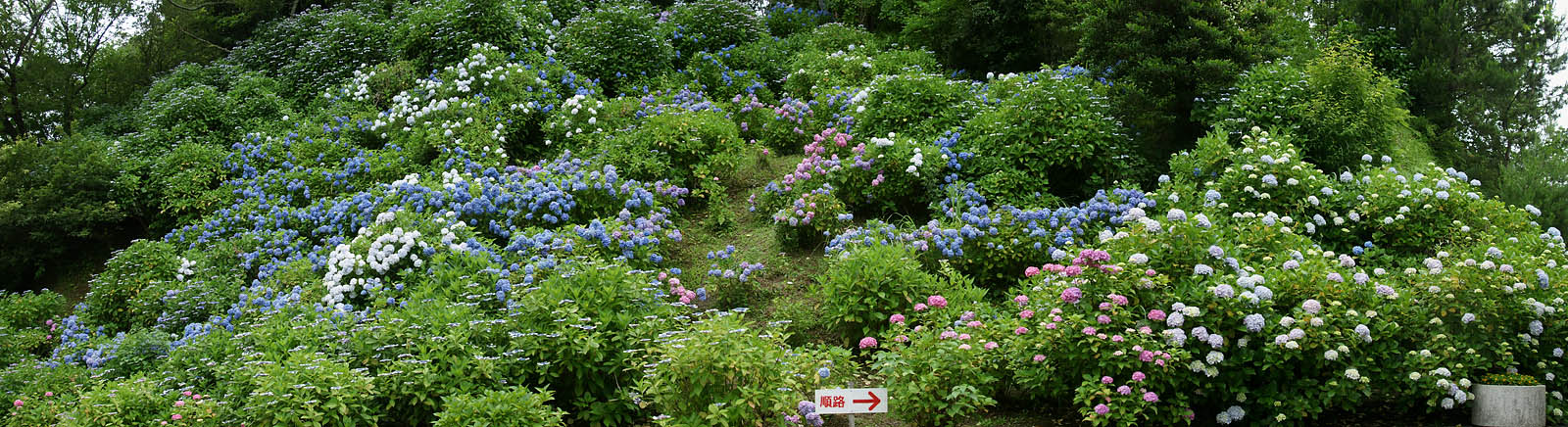 d0089024_17273984.jpg