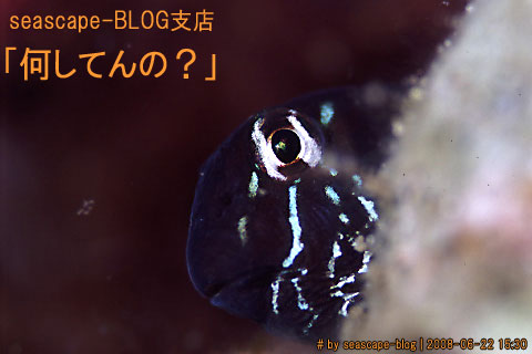b0044726_23194231.jpg