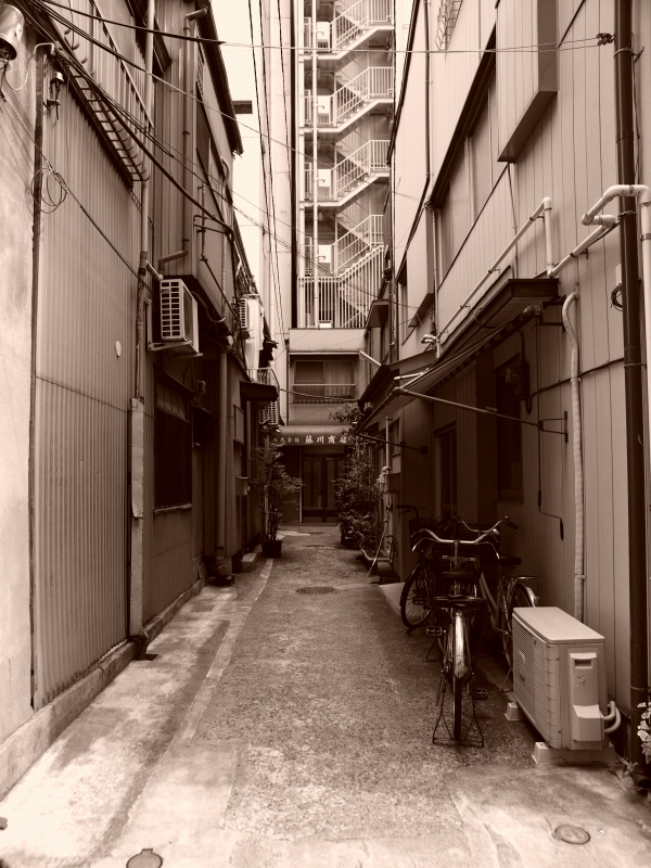 d0066031_2342461.jpg