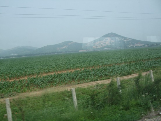 b0012636_2284782.jpg