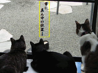 c0136736_2024482.gif