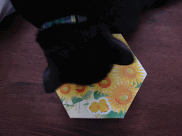 c0136736_20302782.gif