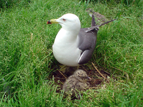 d0151443_16201030.jpg