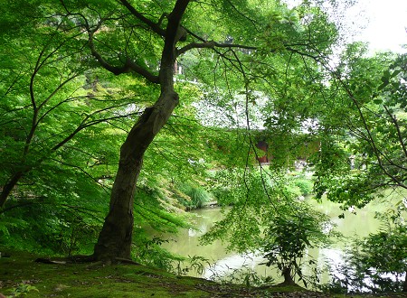 c0057946_2215469.jpg