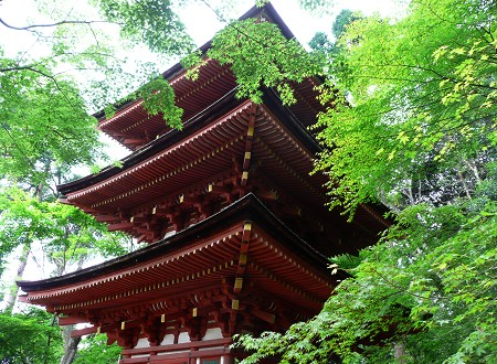 c0057946_22164310.jpg