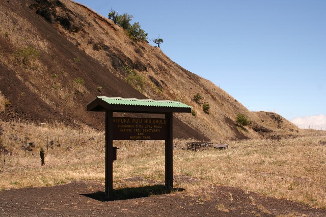 e0129046_12431931.jpg