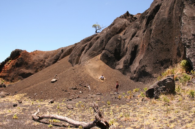e0129046_12482928.jpg