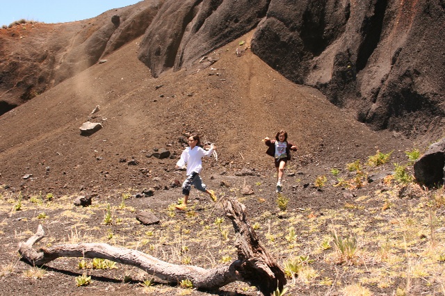 e0129046_12492676.jpg