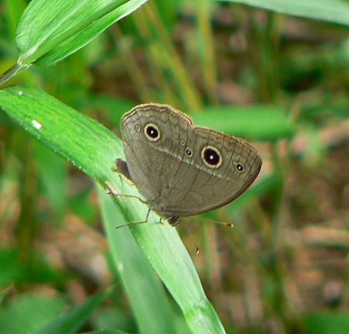 d0091754_2057869.jpg