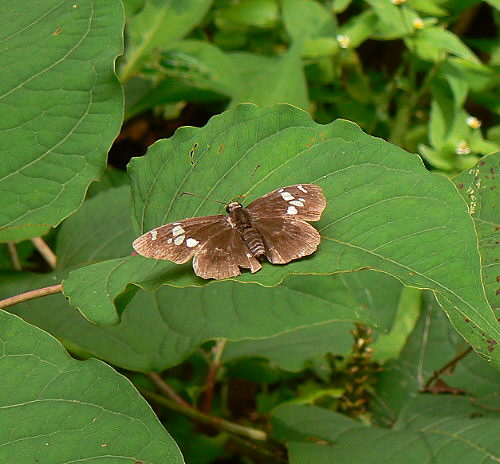 d0091754_233481.jpg