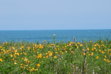 b0086858_15512833.jpg