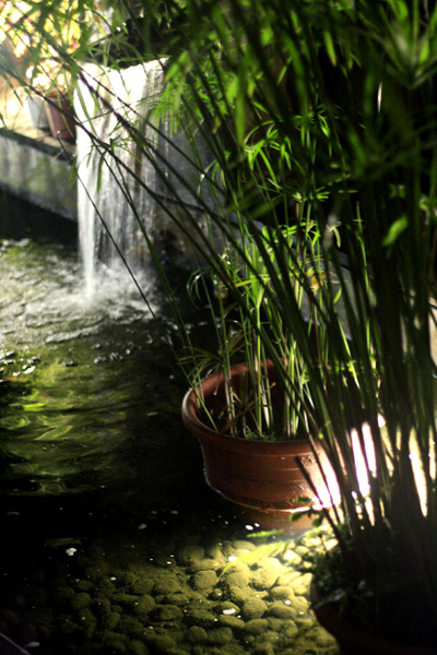 d0061859_20231899.jpg