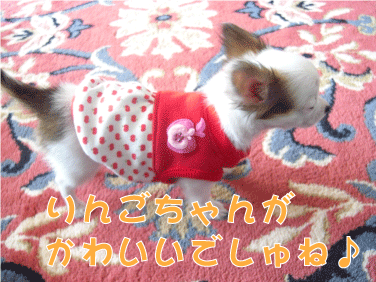 f0170966_11575822.gif