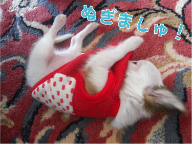 f0170966_11581168.gif