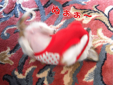 f0170966_11582351.gif