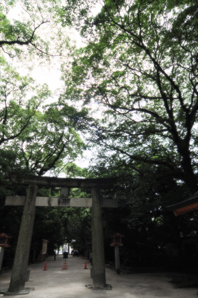 e0129669_23224018.jpg