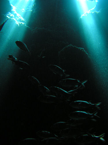 d0114375_6593989.jpg