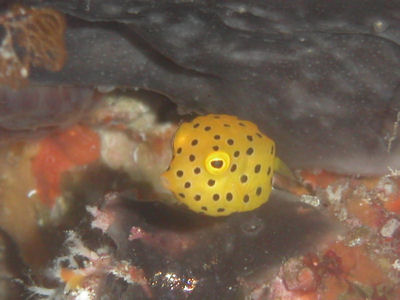 d0114375_765024.jpg