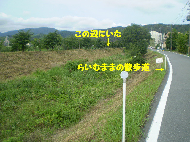 e0117976_1593968.jpg