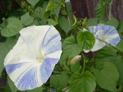 f0014980_22423359.jpg