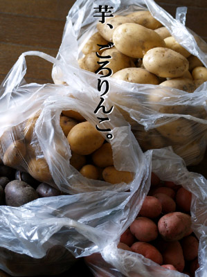 c0145183_663536.jpg
