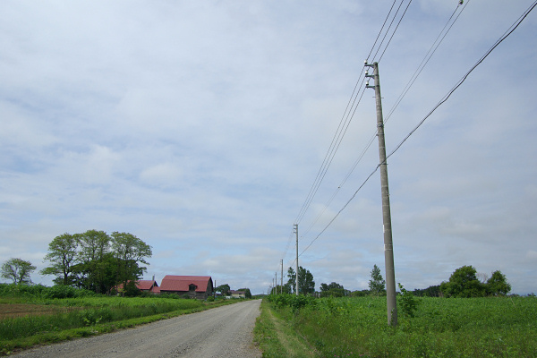 e0051186_2051562.jpg