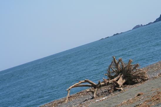 e0100589_21028.jpg