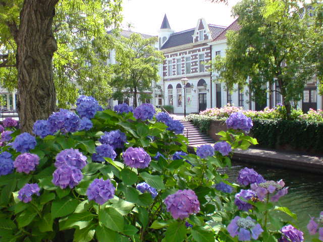 a0089790_19552714.jpg