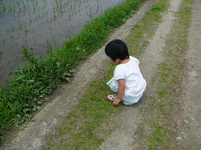 f0164590_12383339.jpg
