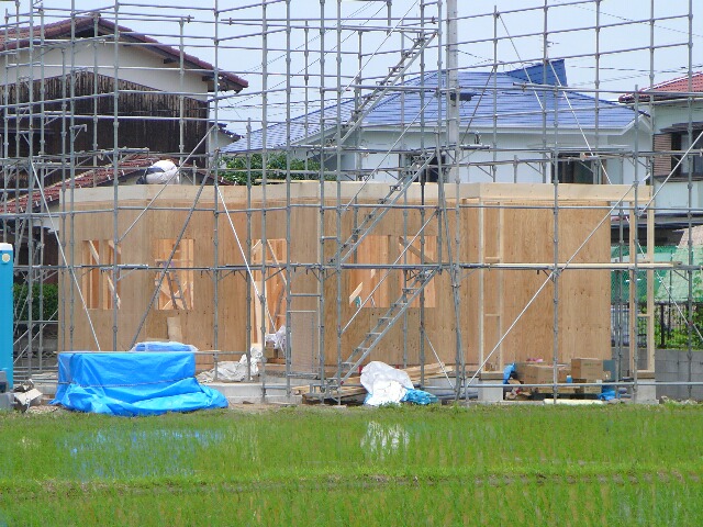 f0164590_12395664.jpg