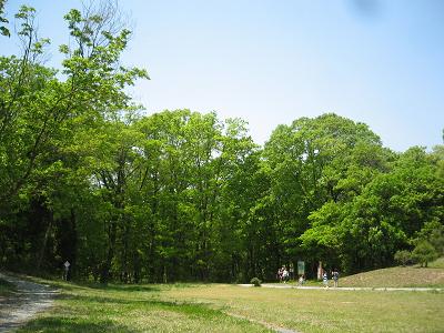 d0107394_15254536.jpg