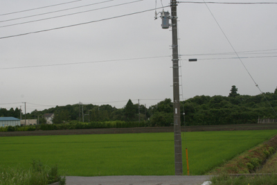 d0100095_2133281.jpg