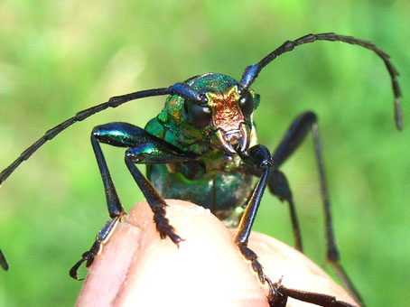 e0083097_132322.jpg