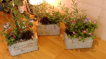 c0152002_90545.jpg