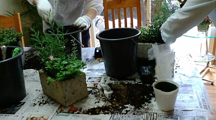 c0152002_9143.jpg