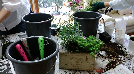 c0152002_914863.jpg