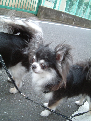 a0079803_2355236.jpg